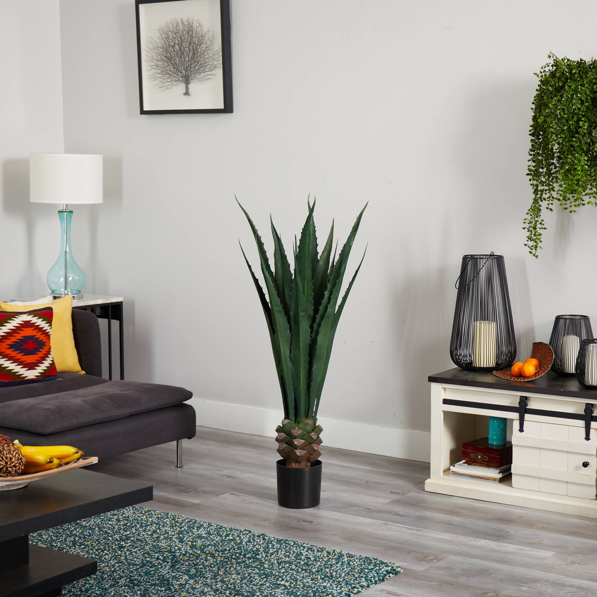 4.5ft. Potted Giant Agave Plant